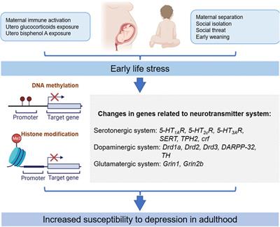 Epigenetic Mechanism of Early Life Stress-Induced Depression: Focus on the Neurotransmitter Systems